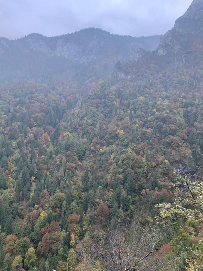 La Mansarda Di Casa Vacanze La Vite Bordogna Екстериор снимка