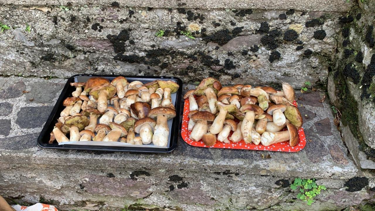 La Mansarda Di Casa Vacanze La Vite Bordogna Екстериор снимка